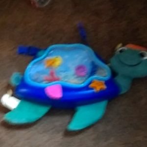 Baby Einstein  music soother